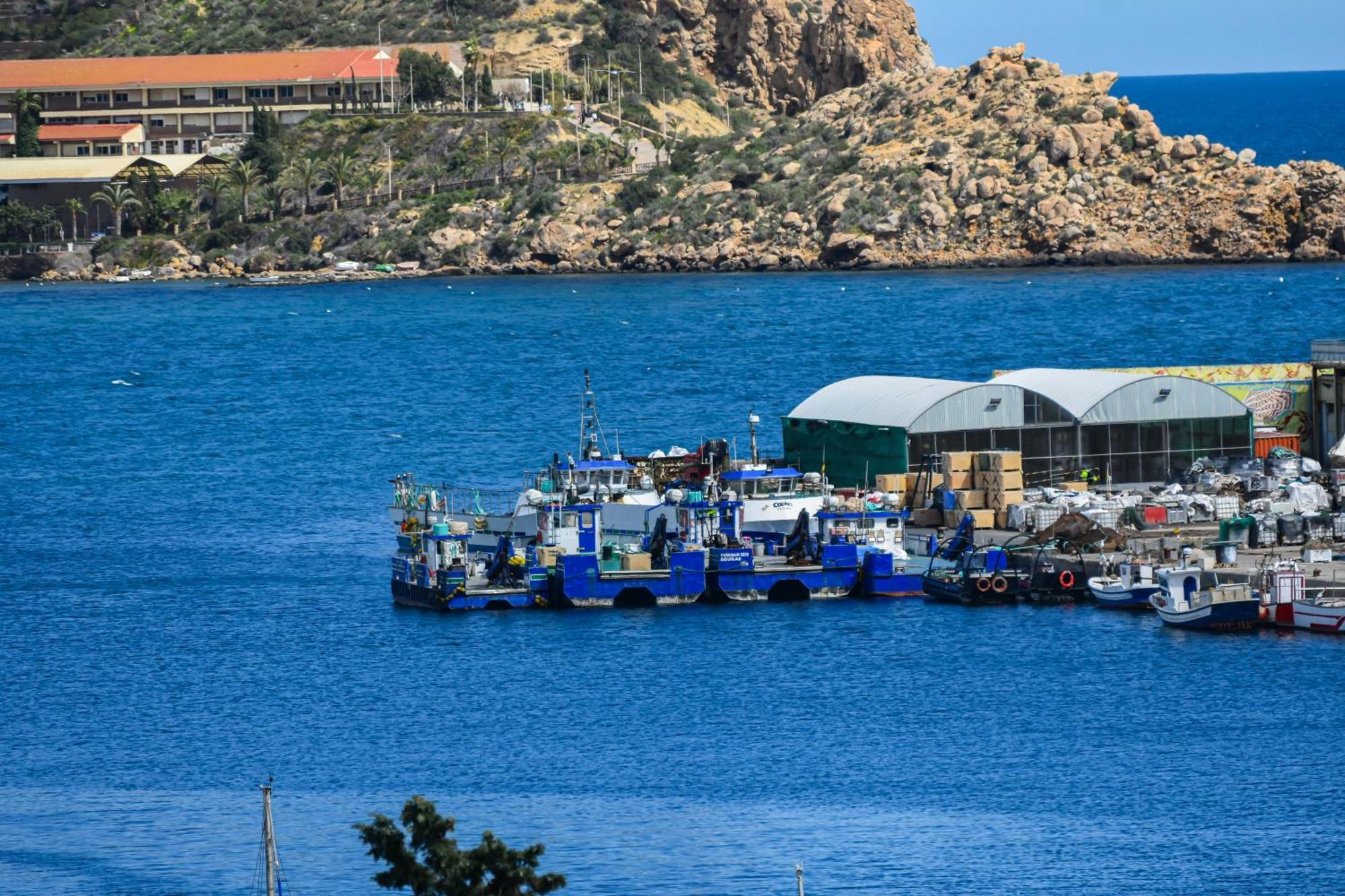 Dream View Aguilas - By Aloha Palma Exterior foto